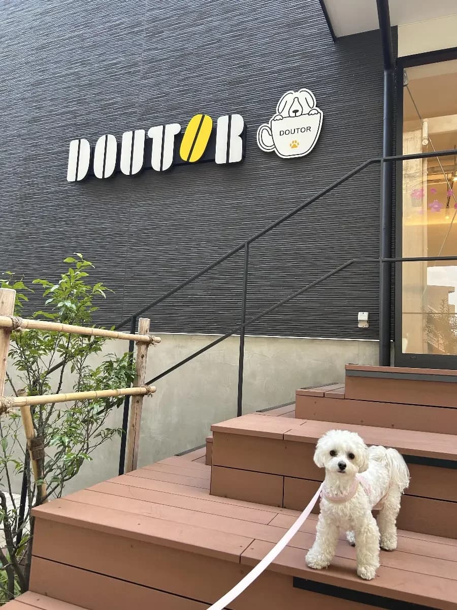 ドトールコーヒーショップ 南与野駅店の口コミ写真