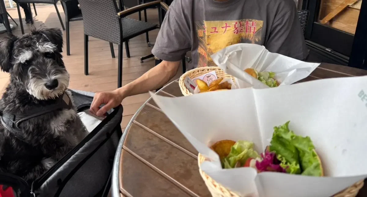 フレッシュネスバーガー武蔵小金井店の口コミ写真