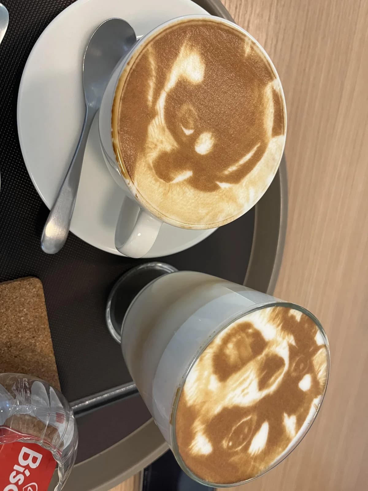 S&S.a ドッグカフェの口コミ写真