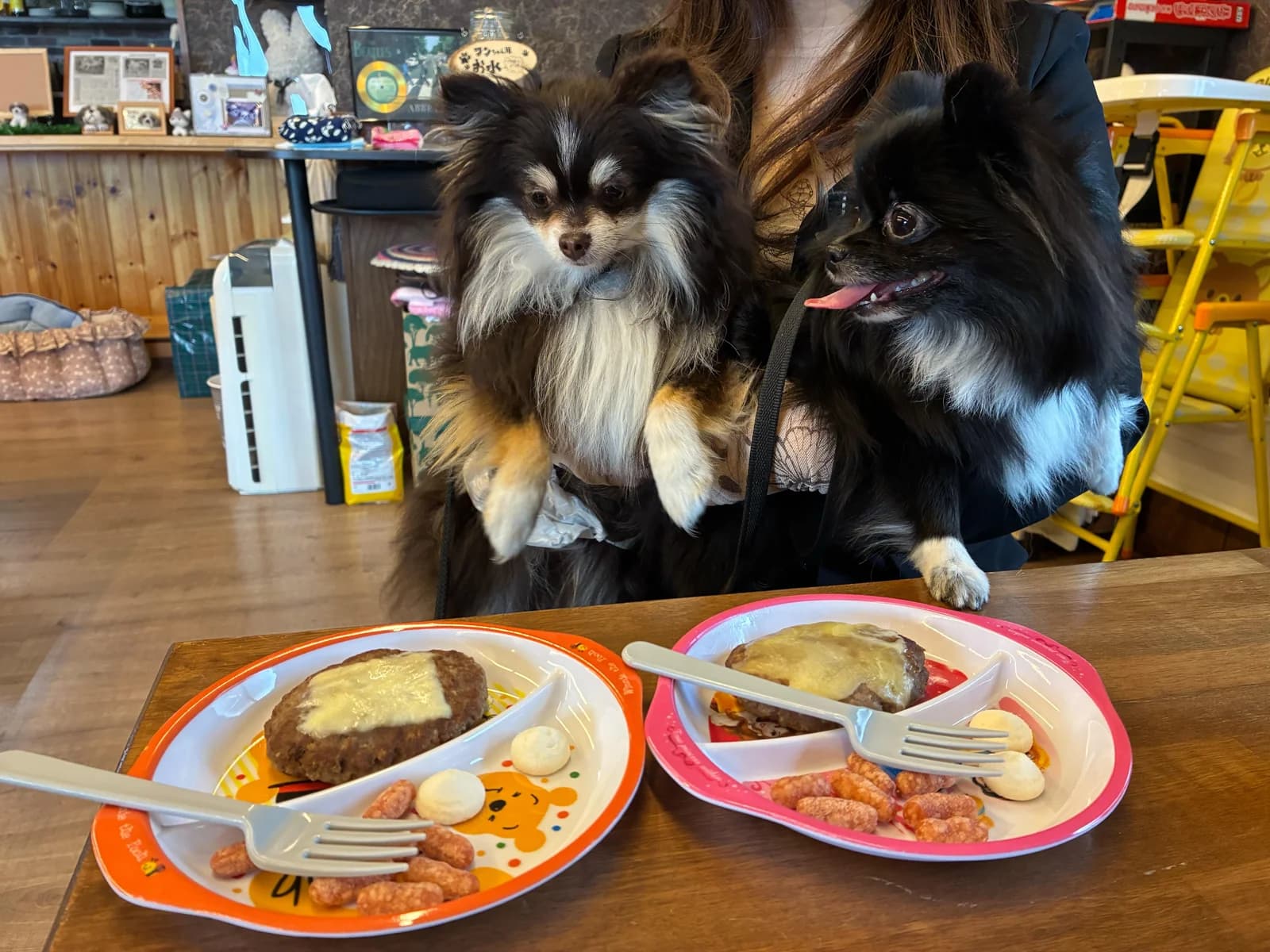 DOG CAFE ABBEY ROADの口コミ写真