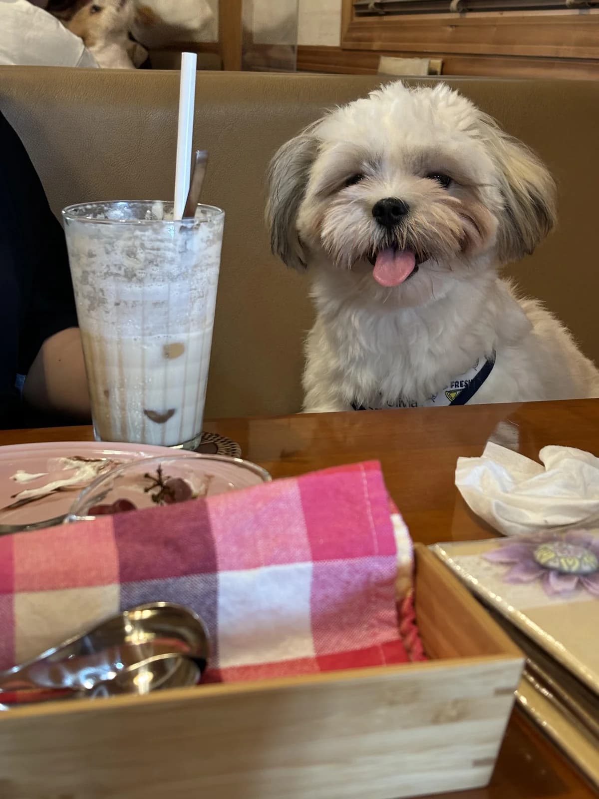 DOGCAFE&SALON WITHの口コミ写真