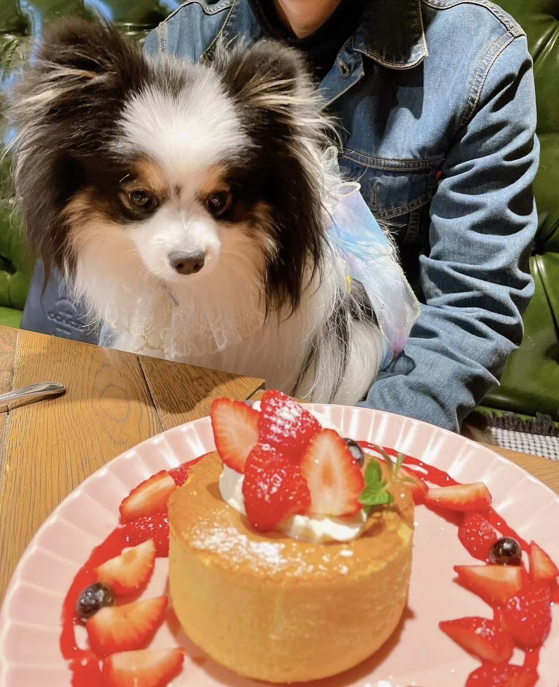 KOUME CAFE×DININGの口コミ写真