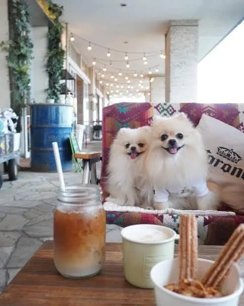サザンビーチカフェの口コミ写真